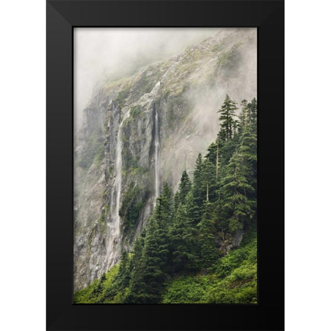 WA, North Cascades NP, Waterfall and fog Black Modern Wood Framed Art Print by Paulson, Don