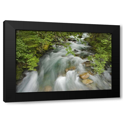WA, North Cascades Water rushes in Cascade River Black Modern Wood Framed Art Print with Double Matting by Paulson, Don