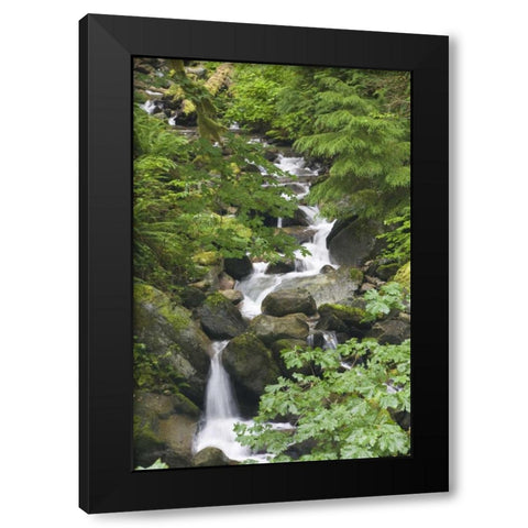 WA, N Cascades NP Lookout Creek on Cascade River Black Modern Wood Framed Art Print by Paulson, Don