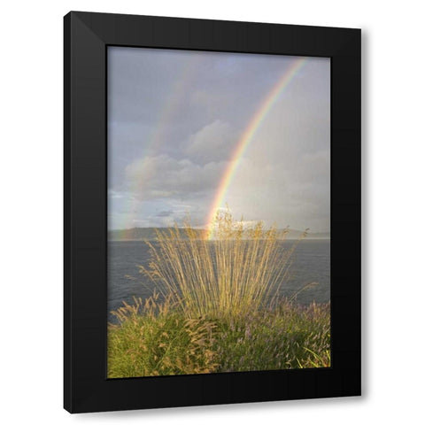 WA, Seabeck Double rainbow over the Hood Canal Black Modern Wood Framed Art Print by Paulson, Don