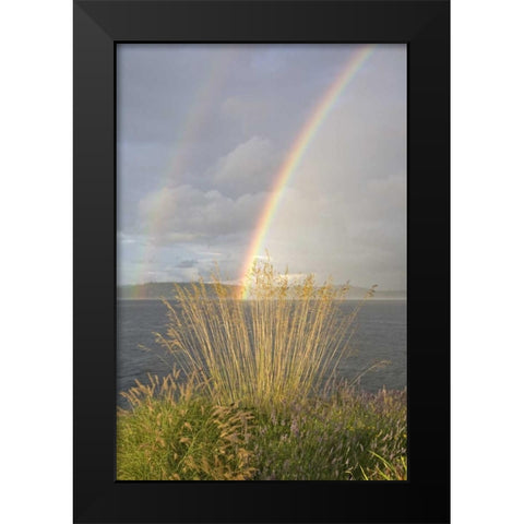 WA, Seabeck Double rainbow over the Hood Canal Black Modern Wood Framed Art Print by Paulson, Don