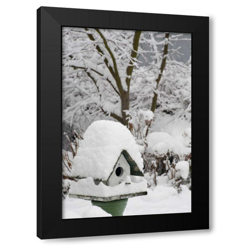 Washington, Seabeck Bird house covered in snow Black Modern Wood Framed Art Print by Paulson, Don