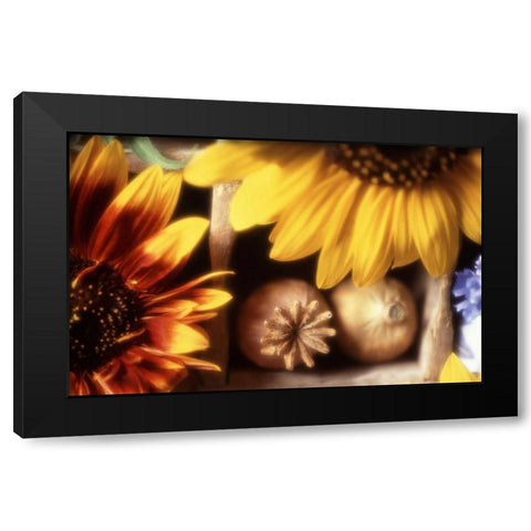 USA, Washington, Bellingham Black Modern Wood Framed Art Print with Double Matting by Satushek, Steve