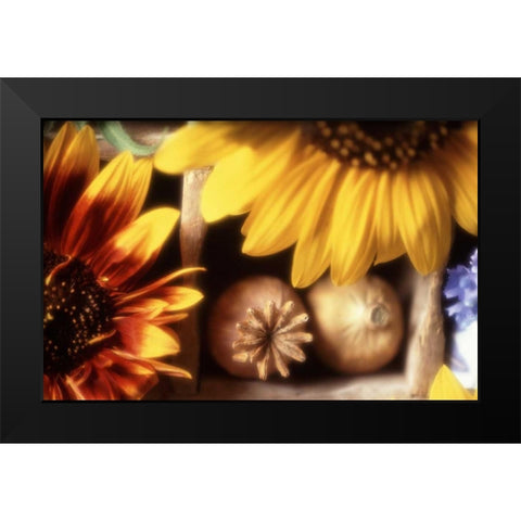USA, Washington, Bellingham Black Modern Wood Framed Art Print by Satushek, Steve