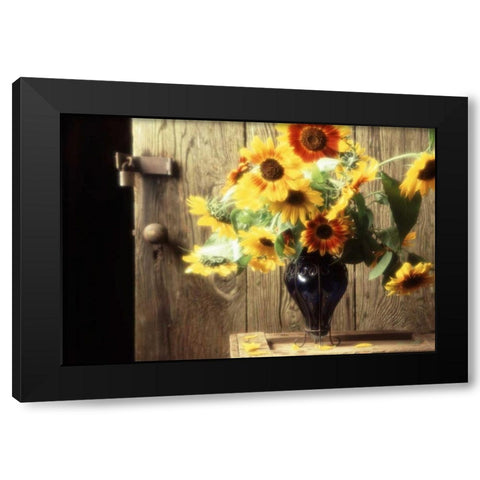 USA, Washington, Bellingham Black Modern Wood Framed Art Print with Double Matting by Satushek, Steve