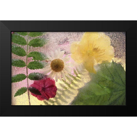USA, Washington, Bellingham Black Modern Wood Framed Art Print by Satushek, Steve
