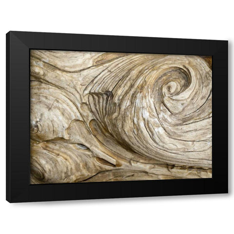 USA, Washington Close-up of swirled wood grain Black Modern Wood Framed Art Print by Paulson, Don