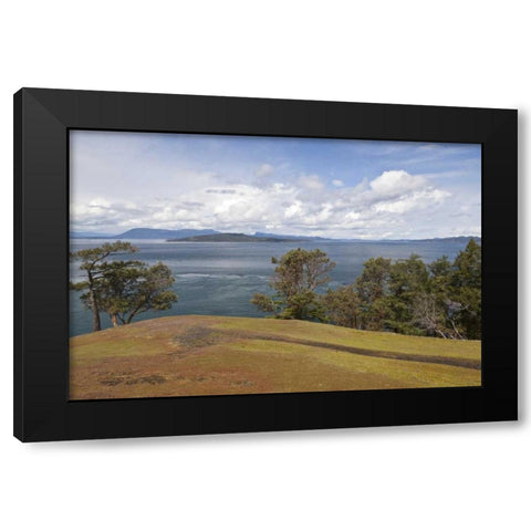 WA, San Juans Scenic overlook on Stuart Island Black Modern Wood Framed Art Print by Paulson, Don