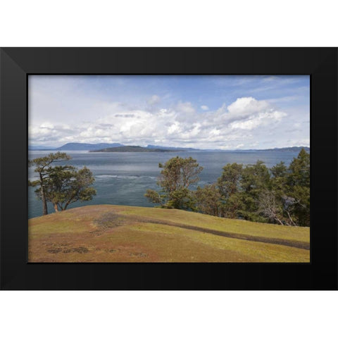 WA, San Juans Scenic overlook on Stuart Island Black Modern Wood Framed Art Print by Paulson, Don