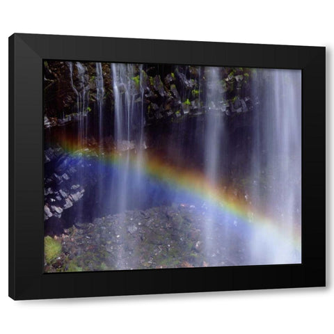 WA, Mount Rainer NP Rainbow at a waterfall Black Modern Wood Framed Art Print with Double Matting by Talbot Frank, Christopher