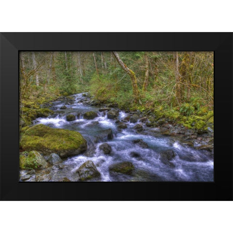 WA, Rocky Brook Falls Stream cascades over rocks Black Modern Wood Framed Art Print by Shimlock, Jones