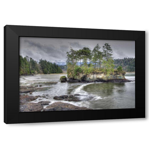 WA, Salt Creek Landscape of island in river Black Modern Wood Framed Art Print by Shimlock, Jones