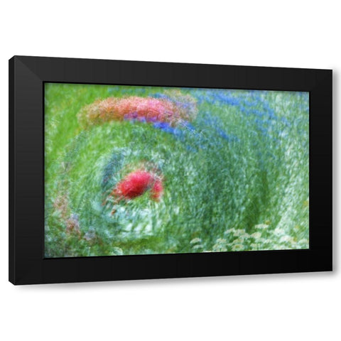 WA, Whidbey Isl Montage of flowers and greenery Black Modern Wood Framed Art Print by Bush, Marie