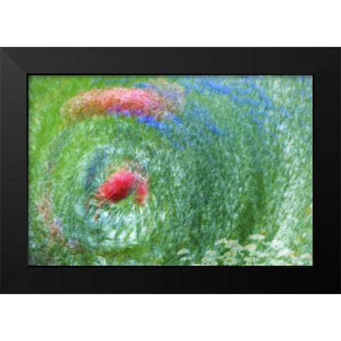 WA, Whidbey Isl Montage of flowers and greenery Black Modern Wood Framed Art Print by Bush, Marie