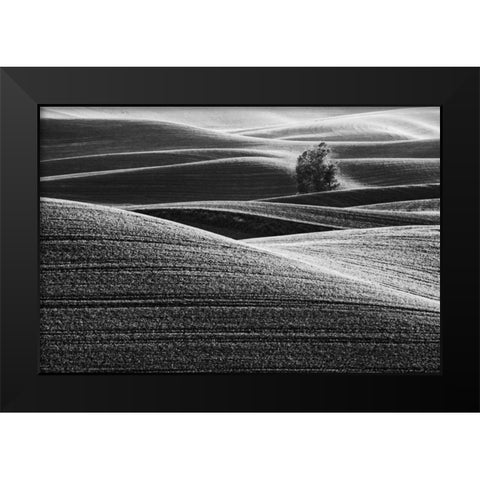 USA, Washington Farm country near Steptoe Butte Black Modern Wood Framed Art Print by Flaherty, Dennis