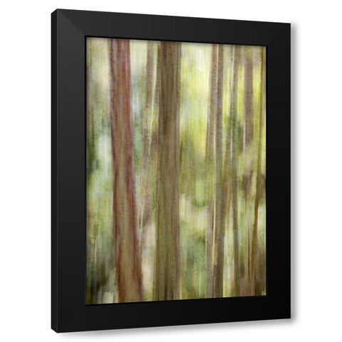 Washington, San Juans Abstract woodland scene Black Modern Wood Framed Art Print with Double Matting by Paulson, Don