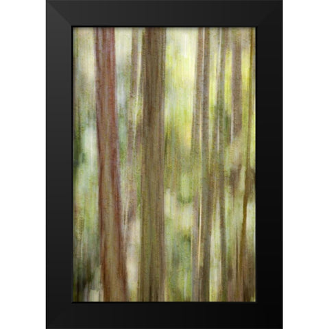 Washington, San Juans Abstract woodland scene Black Modern Wood Framed Art Print by Paulson, Don