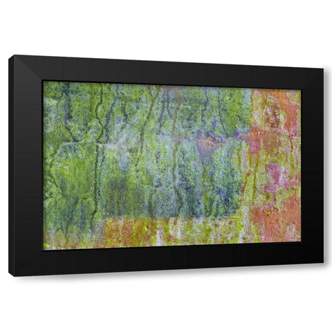 Washington, Fort Hayden Abstract painted wall Black Modern Wood Framed Art Print with Double Matting by Paulson, Don