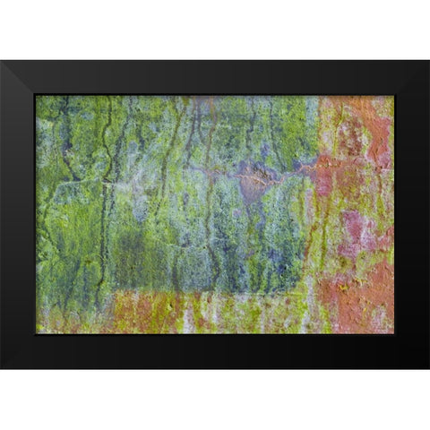 Washington, Fort Hayden Abstract painted wall Black Modern Wood Framed Art Print by Paulson, Don