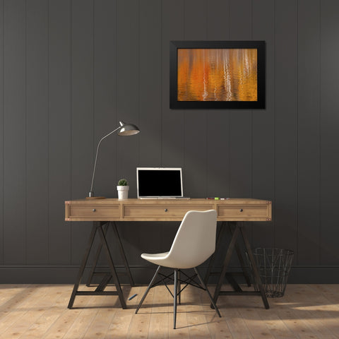 WA, Winthrop Autumn reflections on Beaver Pond Black Modern Wood Framed Art Print by Paulson, Don