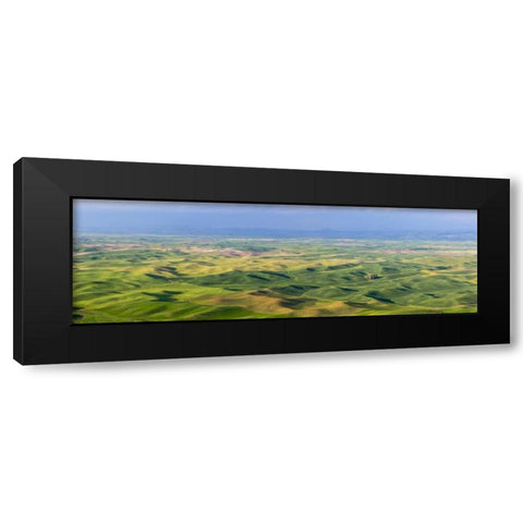 Washington, Palouse Hills Panorama of farmland Black Modern Wood Framed Art Print with Double Matting by Paulson, Don