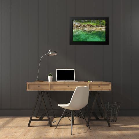 WA, San Juans Secluded bay on Sucia Island Black Modern Wood Framed Art Print by Paulson, Don
