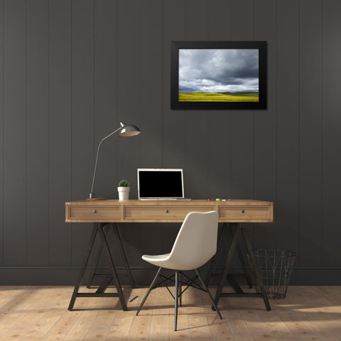 WA, Palouse Canola field on a stormy day Black Modern Wood Framed Art Print by Flaherty, Dennis