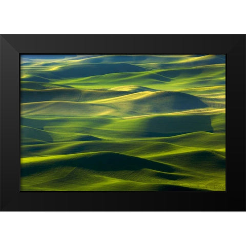 WA, Palouse Hills Farmland from Steptoe Butte Black Modern Wood Framed Art Print by Paulson, Don
