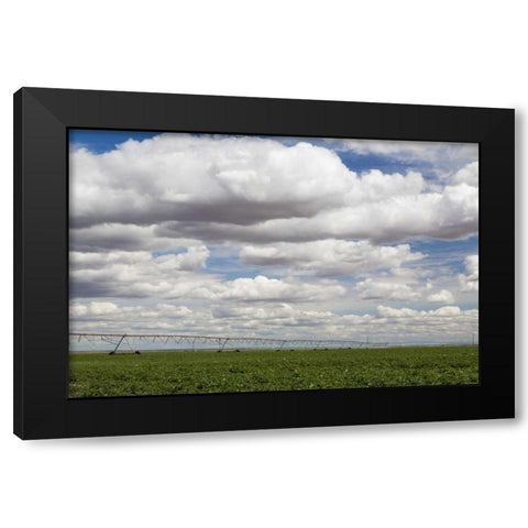 WA, Connell Irrigation device in farm field Black Modern Wood Framed Art Print with Double Matting by Paulson, Don