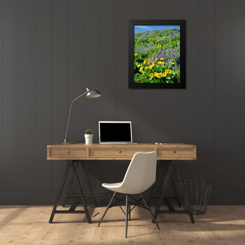 WA, Balsamroot and lupine in Columbia Gorge NSA Black Modern Wood Framed Art Print by Terrill, Steve