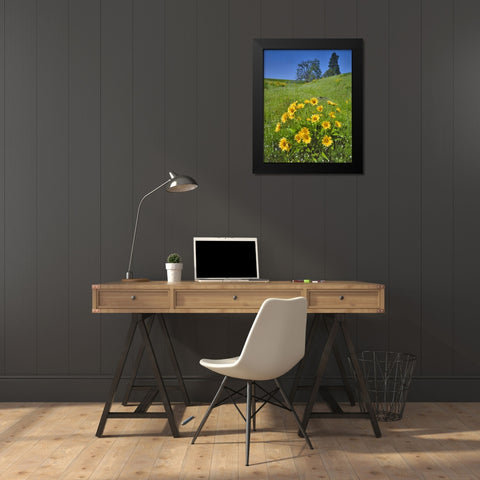 WA, Balsamroot, pine and oak trees on hillside Black Modern Wood Framed Art Print by Terrill, Steve