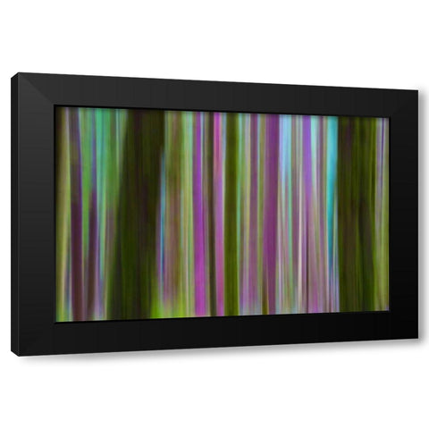 Washington Abstract of Hoh Rain Forest at dusk Black Modern Wood Framed Art Print by Delisle, Gilles