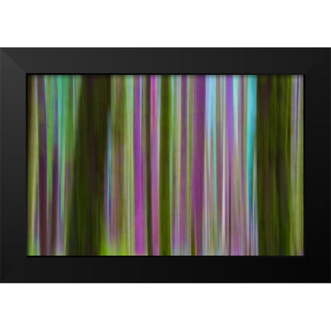 Washington Abstract of Hoh Rain Forest at dusk Black Modern Wood Framed Art Print by Delisle, Gilles