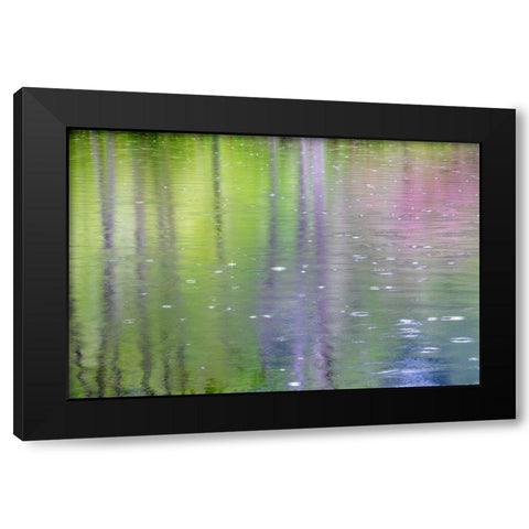 Washington State-Bainbridge Island Raindrop reflections in pond Black Modern Wood Framed Art Print by Jaynes Gallery