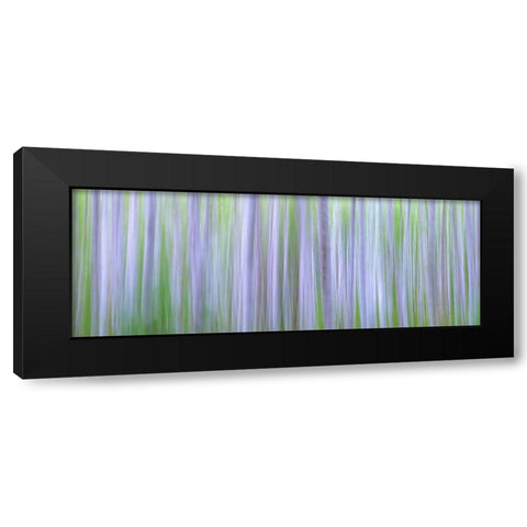 Washington State-Seabeck Panoramic abstract of alder grove  Black Modern Wood Framed Art Print by Jaynes Gallery