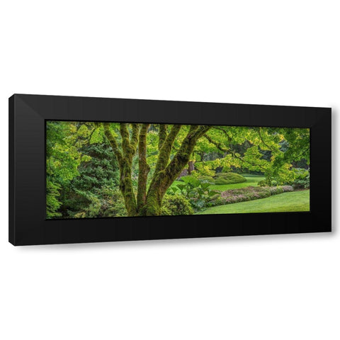 Washington State-Bainbridge Island Panoramic of garden  Black Modern Wood Framed Art Print by Jaynes Gallery
