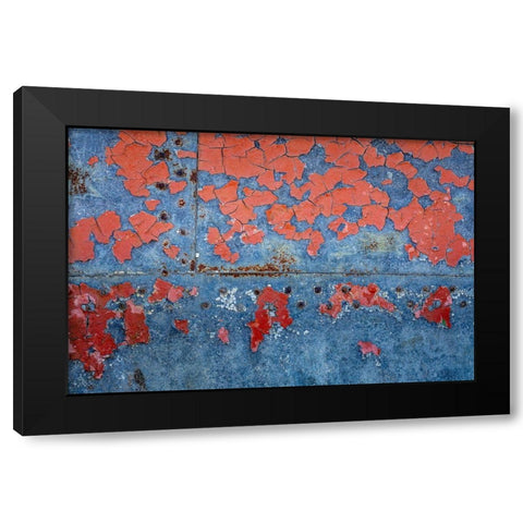 Washington State-Port Townsend-Fort Worden State Park Rusty metal of old metal boat  Black Modern Wood Framed Art Print by Jaynes Gallery