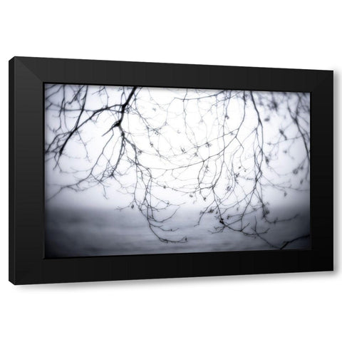 Washington State-Seabeck Alder branches in winter and Hood Canal  Black Modern Wood Framed Art Print by Jaynes Gallery