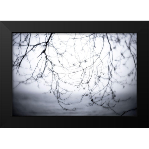 Washington State-Seabeck Alder branches in winter and Hood Canal  Black Modern Wood Framed Art Print by Jaynes Gallery