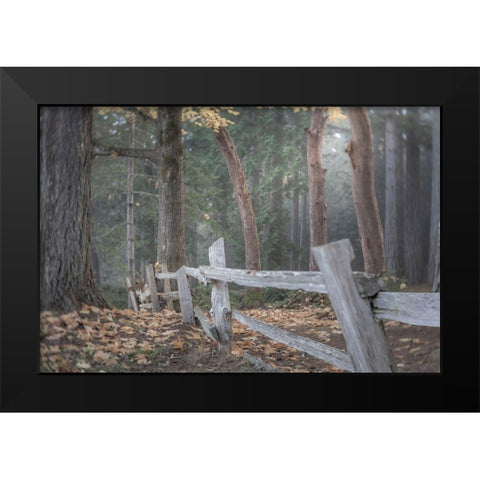 Washington State-Seabeck Split-rail fence and forest  Black Modern Wood Framed Art Print by Jaynes Gallery
