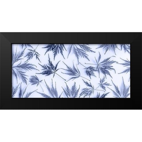 Washington State-Seabeck Panoramic of lace leaf maple leaves  Black Modern Wood Framed Art Print by Jaynes Gallery