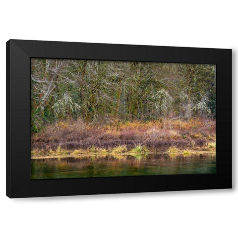 Washington State-Hood Canal Forest reflects in canal  Black Modern Wood Framed Art Print by Jaynes Gallery