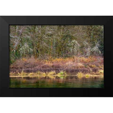 Washington State-Hood Canal Forest reflects in canal  Black Modern Wood Framed Art Print by Jaynes Gallery