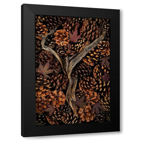 Washington State-Seabeck Pine cones and fall leaves  Black Modern Wood Framed Art Print by Jaynes Gallery