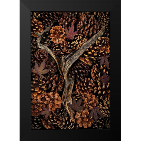 Washington State-Seabeck Pine cones and fall leaves  Black Modern Wood Framed Art Print by Jaynes Gallery