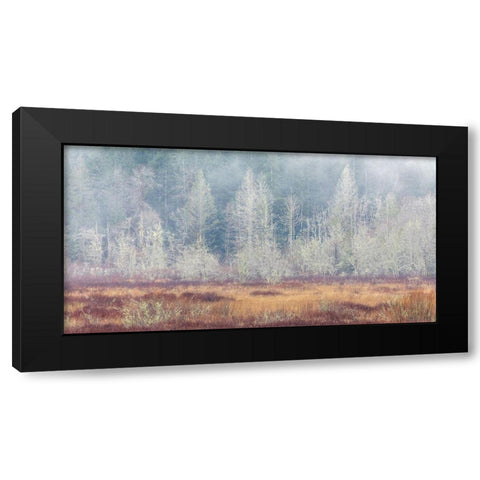 Washington State-Dewatto Panoramic of autumn meadow and forest  Black Modern Wood Framed Art Print with Double Matting by Jaynes Gallery
