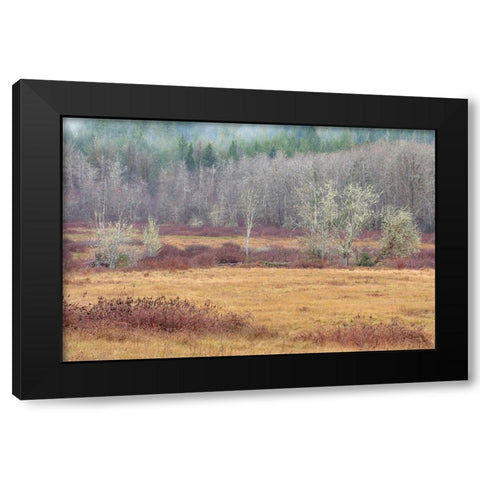 Washington State-Dewatto Autumn meadow and forest  Black Modern Wood Framed Art Print by Jaynes Gallery