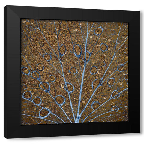 An abstraction of water drops on a skeletonized cottonwood leaf  Black Modern Wood Framed Art Print by Jaynes Gallery