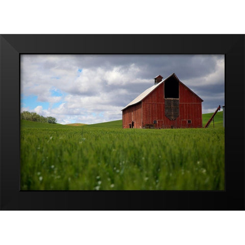 Washington State-Palouse Red barn in farm field Black Modern Wood Framed Art Print by Jaynes Gallery