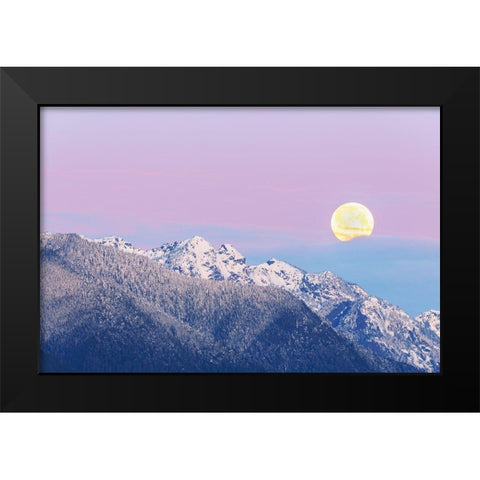 Washington State Moon setting over the Olympic Mountains at sunrise Black Modern Wood Framed Art Print by Jaynes Gallery